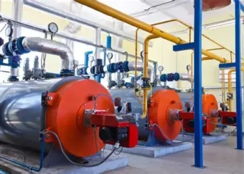 Biomass energy generation may double post-COP30