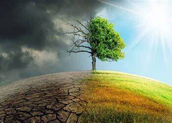 UK launches second phase of Malaysia climate change fund