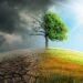 UK launches second phase of Malaysia climate change fund