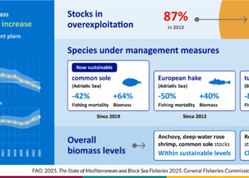 The Mediterranean and the Black Sea: Fisheries sustainability concerns remain, but overfishing drops to its lowest level in a decade.