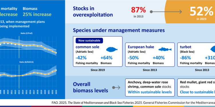 The Mediterranean and the Black Sea: Fisheries sustainability concerns remain, but overfishing drops to its lowest level in a decade.