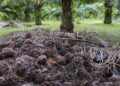 Sustainable Resources and Wastes Management Bill to open new economic avenues for Sarawak