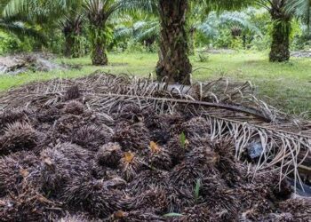 Sustainable Resources and Wastes Management Bill to open new economic avenues for Sarawak