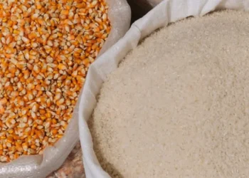 Indonesia achieves full self-sufficiency in rice and maize, ending imports in 2025