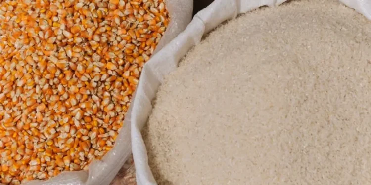 Indonesia achieves full self-sufficiency in rice and maize, ending imports in 2025