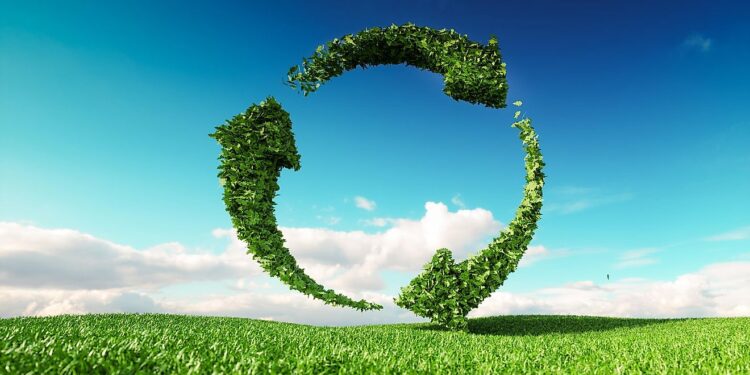 The new sustainability playbook: Five priorities for a corporate reset