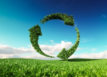 Sustainability will be driven by private sector instead of government in 2026.