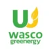 Wasco Greenergy’s IPO attracts robust demand