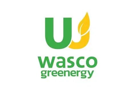 Wasco Greenergy’s IPO attracts robust demand
