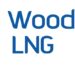 Woodfibre LNG Marks 2025 as a Year of Construction Progress, Environmental Stewardship and Community Partnership