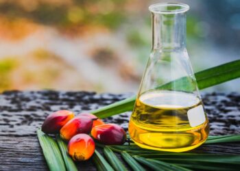 Indonesia keeps 2026 biodiesel quota flat, raising doubts over B50 target