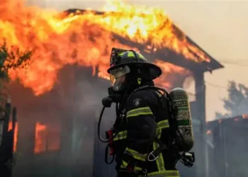 Chile wildfires rage for third day, entire towns wiped out