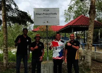 Etiqa’s Project Firefly Reinforces Mangrove Ecosystem in Sungai Panjang in Collaboration with Malaysian Nature Society – Malay Mail