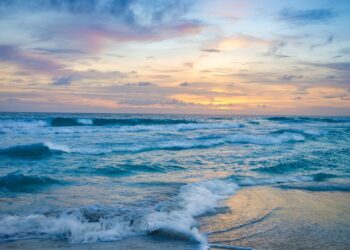 Experts say oceans soaked up record heat levels in 2025