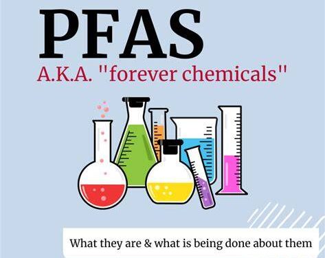France’s ban on ‘forever chemicals’ comes into force today.