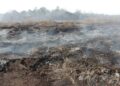 99ha peat fire in Pengerang still burning with over half extinguished – NST