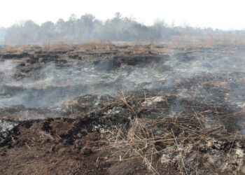 99ha peat fire in Pengerang still burning with over half extinguished – NST
