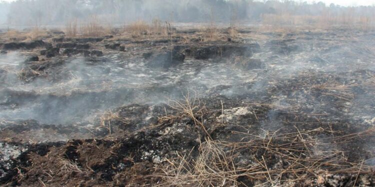 99ha peat fire in Pengerang still burning with over half extinguished – NST