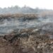 99ha peat fire in Pengerang still burning with over half extinguished – NST