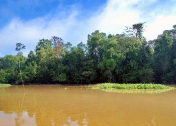 Solid waste woes put Sukau Biosphere at risk.
