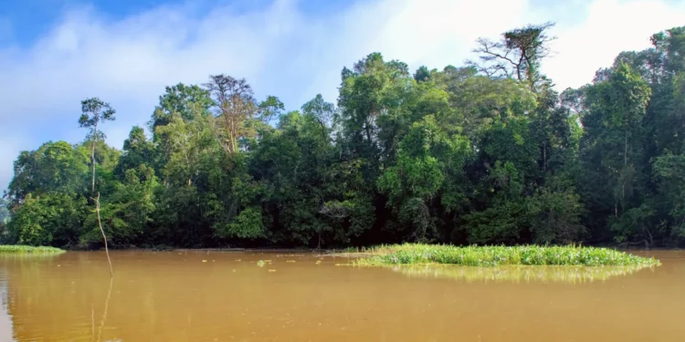 Solid waste woes put Sukau Biosphere at risk.