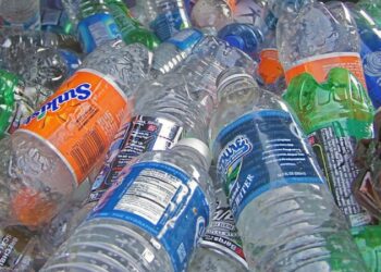 Singapore introduces grant of up to S$2,500 to help beverage producers with costs of container return scheme