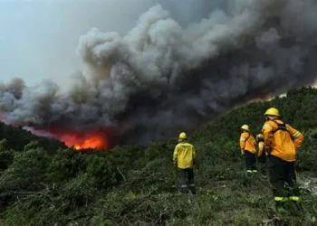 Climate Change Fueled Deadly January Wildfires in Argentina, Chile: Study