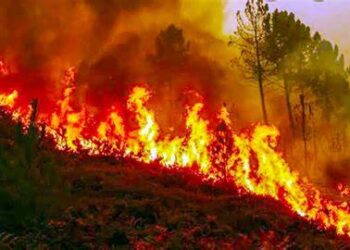 Fire-Prone Weather Days On the Rise As Planet Heats Up: Study