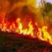 Fire-Prone Weather Days On the Rise As Planet Heats Up: Study