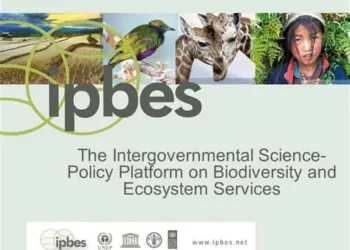 Companies told to protect nature now or face extinction themselves