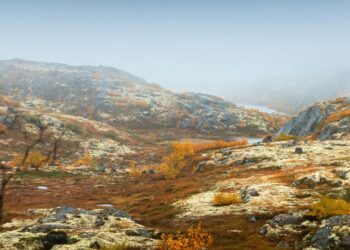 A simple water shift could turn Arctic farmland into a carbon sink