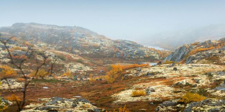 A simple water shift could turn Arctic farmland into a carbon sink