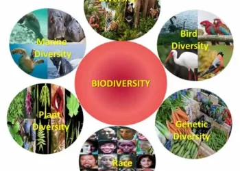 Companies told to protect nature now or face extinction themselves – Reuters