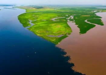Congo basin blackwater lakes are releasing ancient carbon into the atmosphere