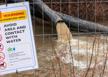 Potomac River E-coli levels skyrocket after 240 million gallons of sewage pour into waterway