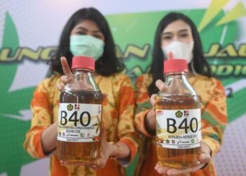 Indonesia may revive B50 biodiesel mix plan as oil prices soar