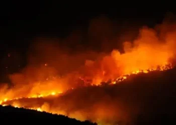 Europe dangerously unprepared for worsening wildfires, report says