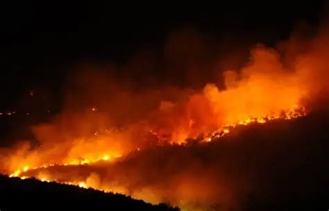 Europe dangerously unprepared for worsening wildfires, report says