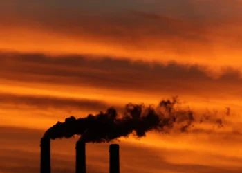 Anti-graft group wants data on greenhouse gas made public – FMT