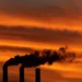 Anti-graft group wants data on greenhouse gas made public – FMT