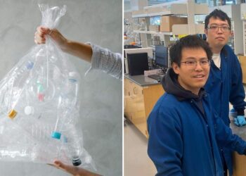 Scientists Create New Plastic That Self-Destructs After Use in Breakthrough Research