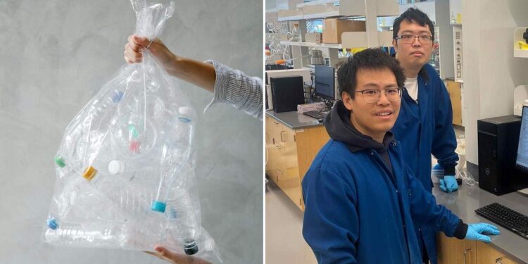 Scientists Create New Plastic That Self-Destructs After Use in Breakthrough Research