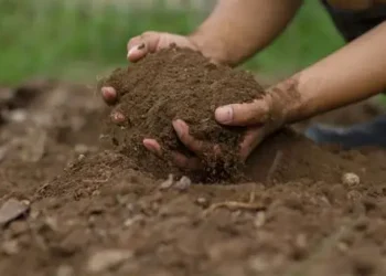 The U.S. agricultural carbon market is entering a more data-driven phase.