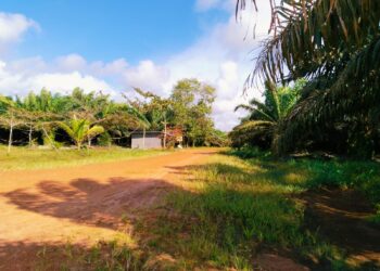 Sungai Samak Estate Powers Malaysia’s Green Data Future