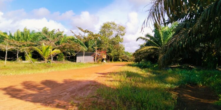 Sungai Samak Estate Powers Malaysia’s Green Data Future