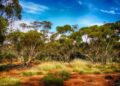 Tourism Australia unveils industry sustainability initiative