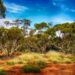 Tourism Australia unveils industry sustainability initiative