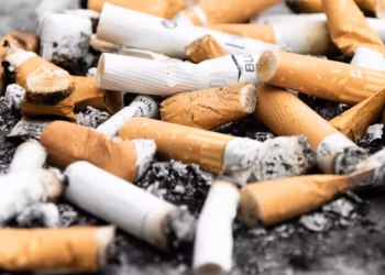 Is Malaysia’s waste crisis an accountability issue? – The Star