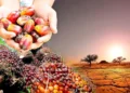Monsoon Patterns and Weather Volatility Threaten Regional Palm Oil Outputs