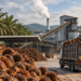 Malaysia’s Palm Oil Sector Pivot Toward Biomass Monetisation to Drive Commercial Growth